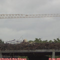 14_35-mast.jpg