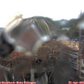 14_55-nest.jpg