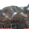 15_00-nest.jpg