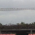 15_25-mast.jpg