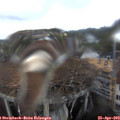 15_25-nest.jpg