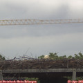 15_30-mast.jpg