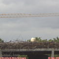 15_35-mast.jpg