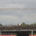15_40-mast.jpg