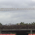 15_50-mast.jpg