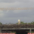 16_05-mast.jpg