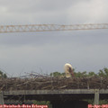16_35-mast.jpg