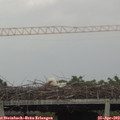 18_05-mast.jpg