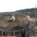 18_30-nest.jpg