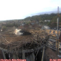 18_50-nest.jpg