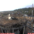 19_05-nest.jpg