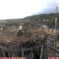 19_10-nest.jpg