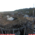 20_00-nest.jpg