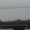 06_15-mast.jpg