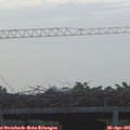 06_25-mast.jpg