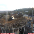 06_25-nest.jpg