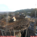 06_30-nest.jpg