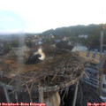 06_40-nest.jpg