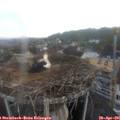 06_45-nest.jpg