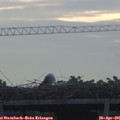 06_50-mast.jpg