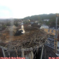 06_50-nest.jpg
