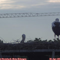 07_00-mast.jpg