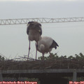 07_20-mast.jpg