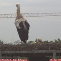 07_35-mast.jpg