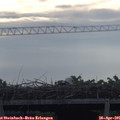 08_20-mast.jpg