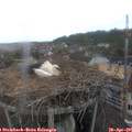 09_25-nest.jpg