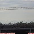 09_35-mast.jpg