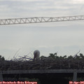 09_45-mast.jpg