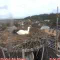 09_55-nest.jpg