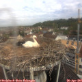 10_00-nest.jpg