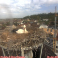 10_05-nest.jpg