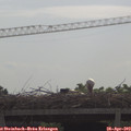 10_10-mast.jpg