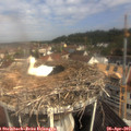 10_10-nest.jpg