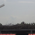 10_15-mast.jpg