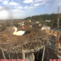 10_15-nest.jpg