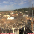 10_20-nest.jpg