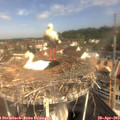 10_30-nest.jpg