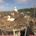 10_35-nest.jpg