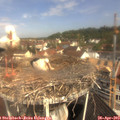 10_40-nest.jpg