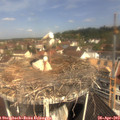 10_55-nest.jpg