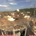 11_05-nest.jpg