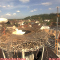 11_15-nest.jpg