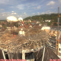 11_55-nest.jpg