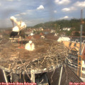 12_05-nest.jpg