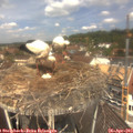 12_15-nest.jpg