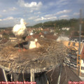 12_25-nest.jpg